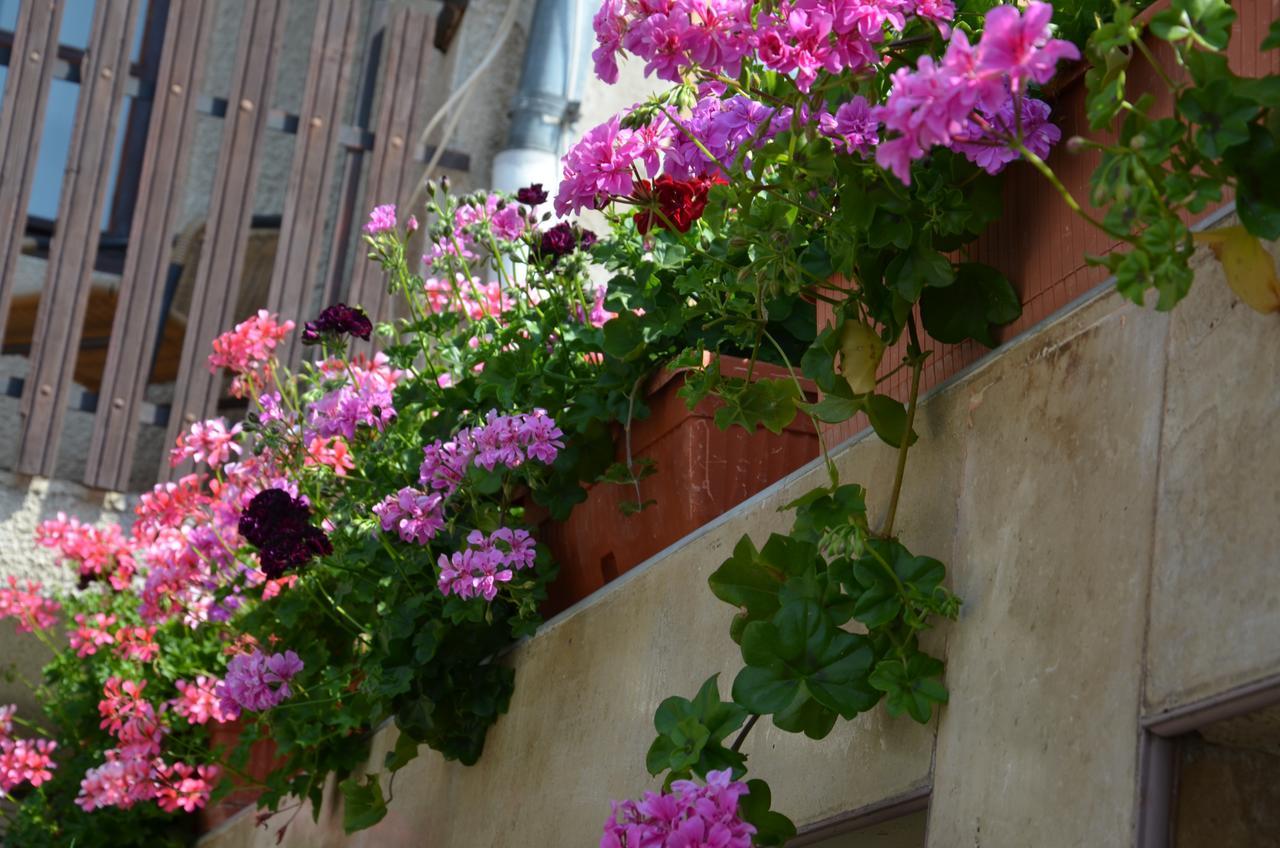 Villa Rosi Sozopol Exterior photo